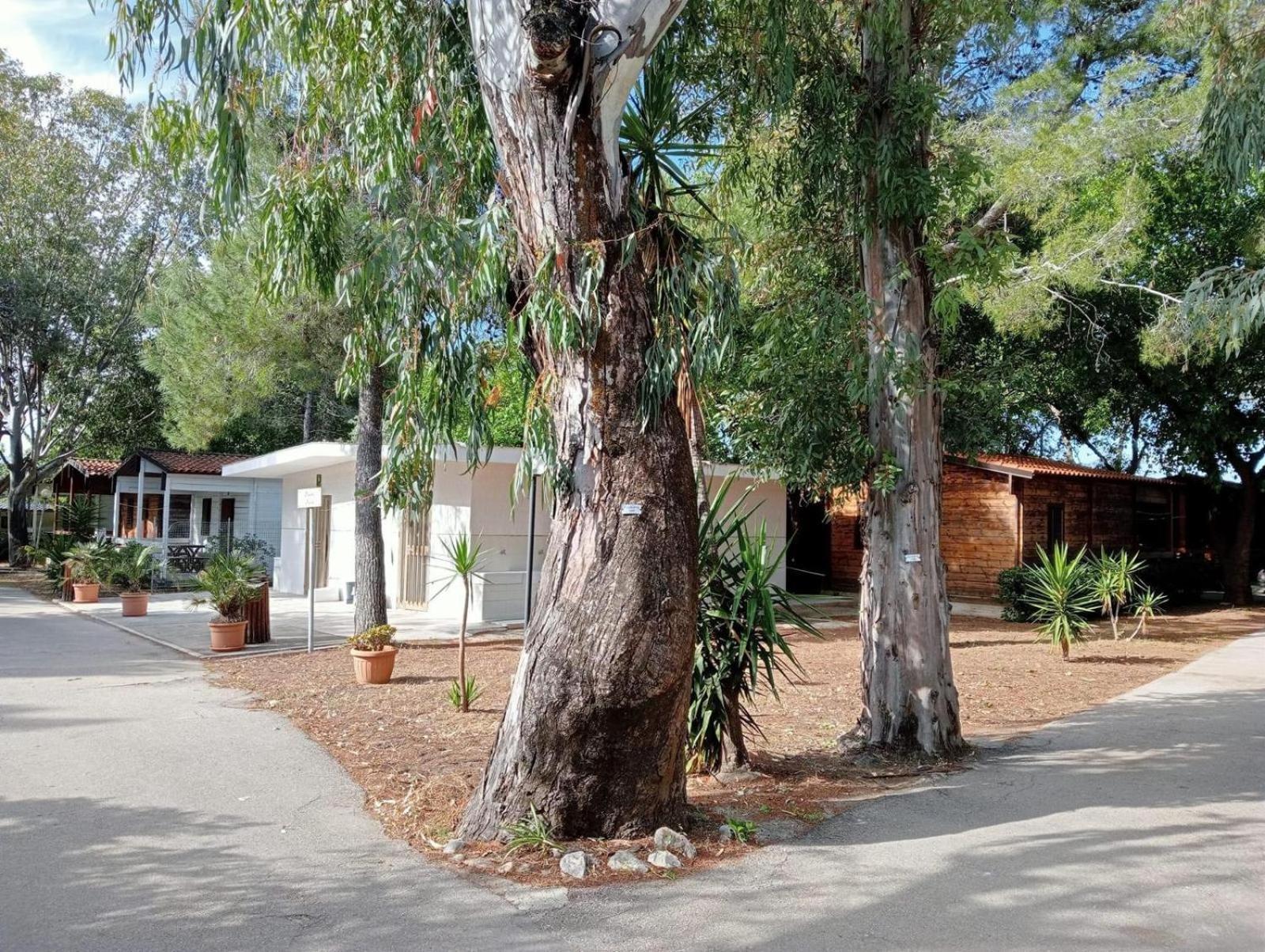 Viola Club Village & Camping Foce Varano Εξωτερικό φωτογραφία