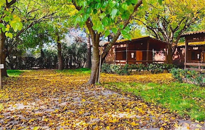 Viola Club Village & Camping Foce Varano Εξωτερικό φωτογραφία